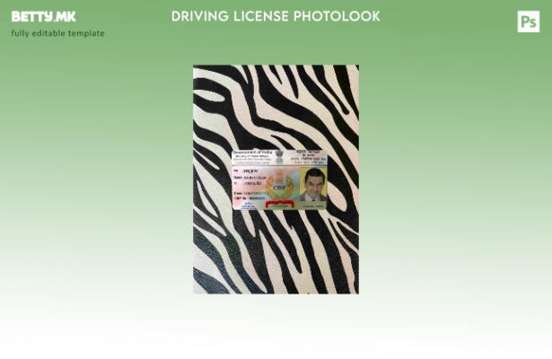 Модерен стил Индија CISF DL photolook FRONT шаблон